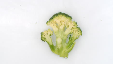 On-a-white-background-sliced-broccoli-is-sprinkled-with-water.-Water-washes-over-fresh-green-broccoli.